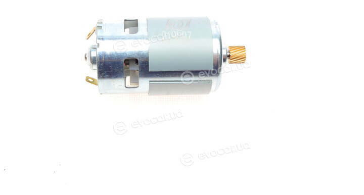 Solgy 219097