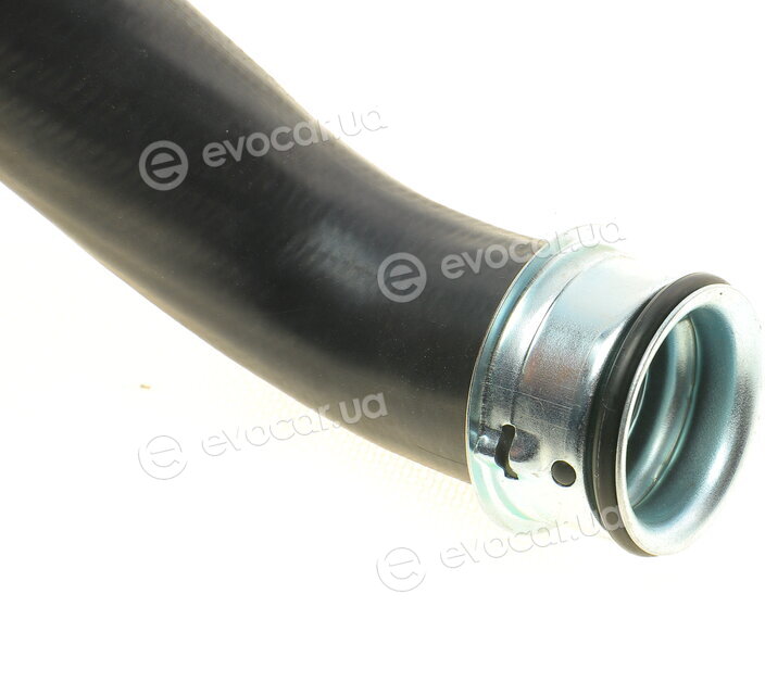 Solgy 114253