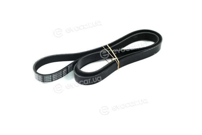 Dayco 6PK1775