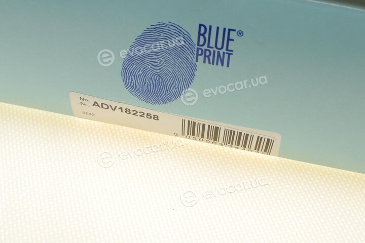 Blue Print ADV182258