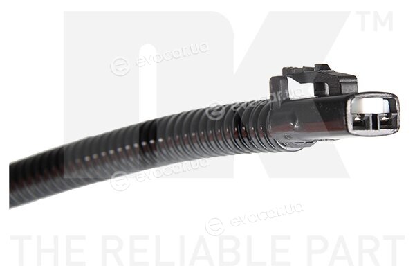 NK 299924
