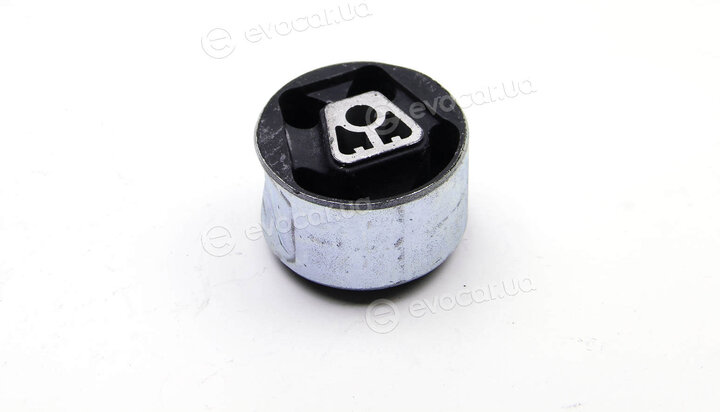 Metalcaucho / STC 02966