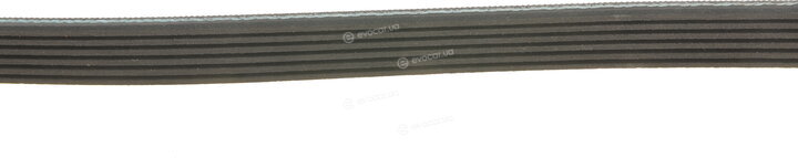 Gates 6PK1030SF