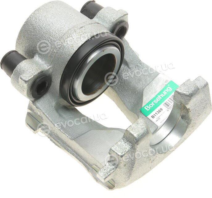 Borsehung B11369