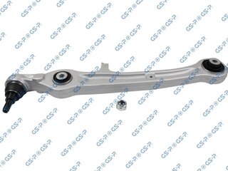 GSP S060028