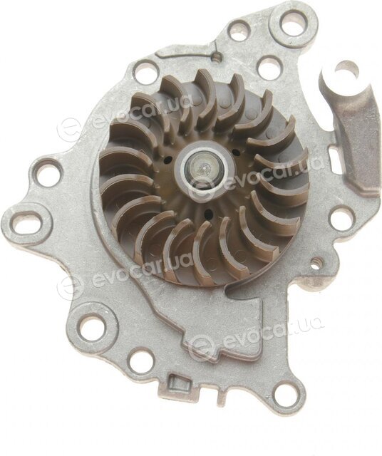 Continental WP6136
