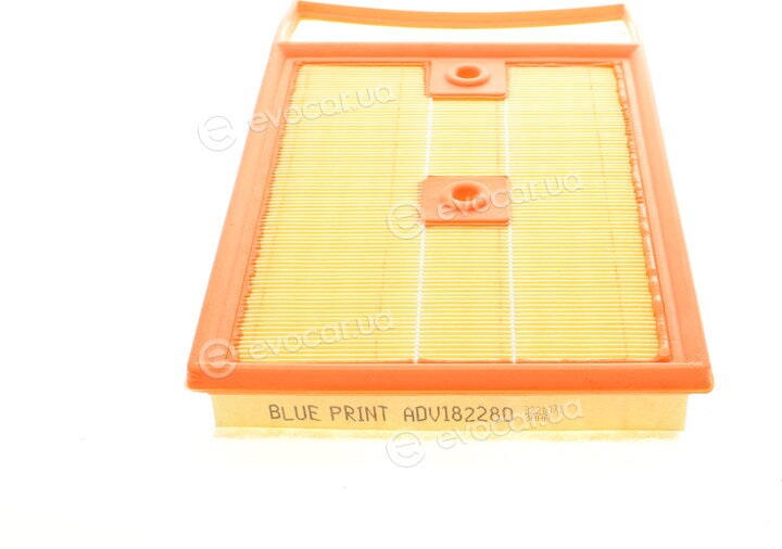 Blue Print ADV182280