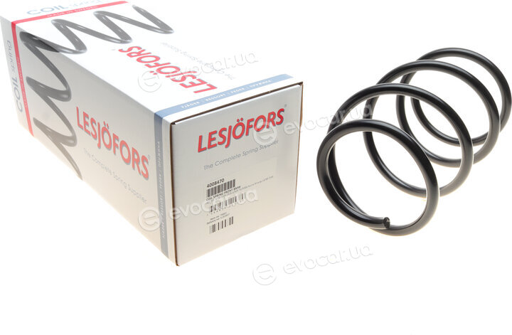 Lesjofors 4008470