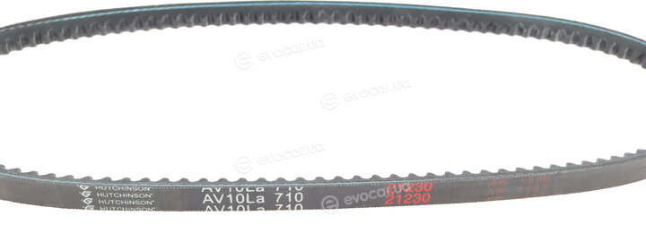 Hutchinson AV 10 La 710