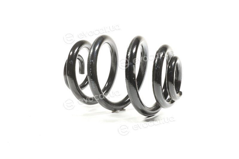 Lesjofors 5295050