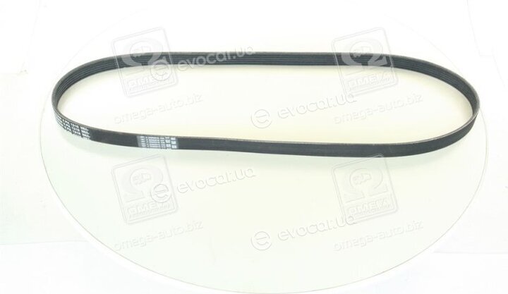 Continental 6PK1310
