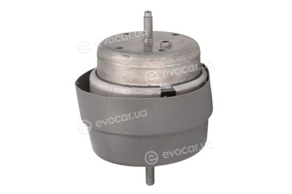 Reinhoch RH11-0159