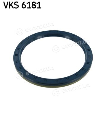 SKF VKS 6181