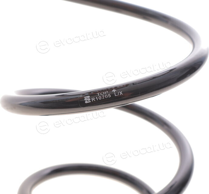 Eibach R10205