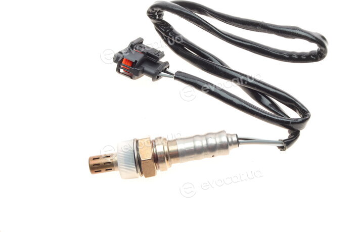 AIC 54516