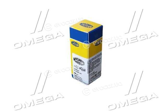 Magneti Marelli 171916011900