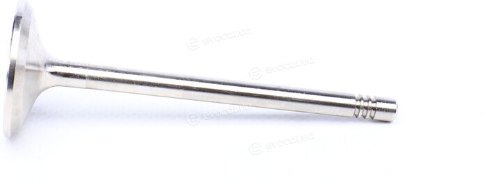 Mahle 029 VA 31097 100