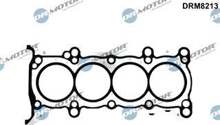 Dr. Motor DRM8213