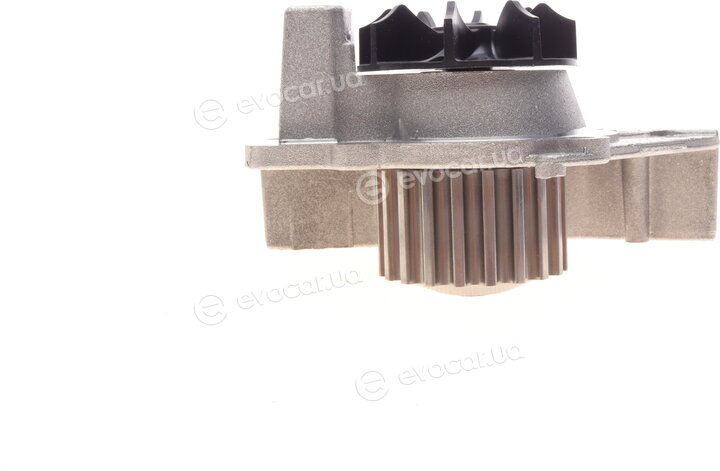 Continental CT1061WP1