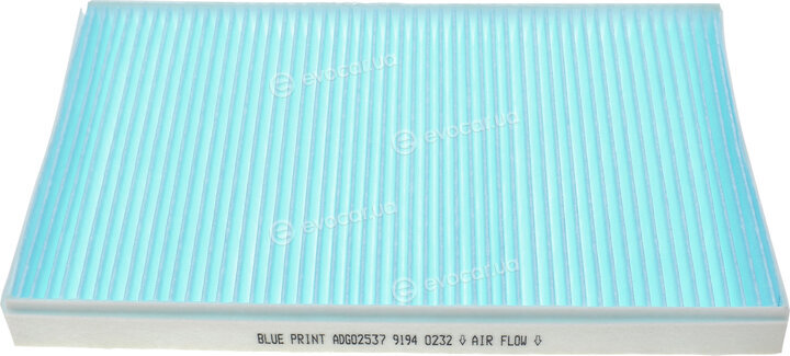 Blue Print ADG02537