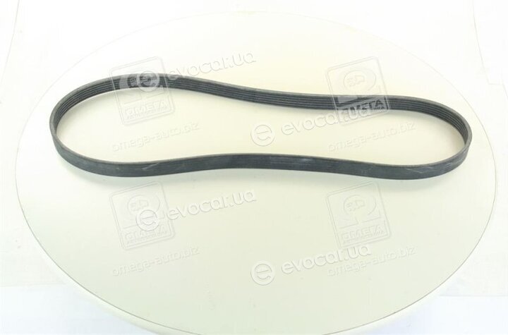 Continental 6PK1249 ELAST