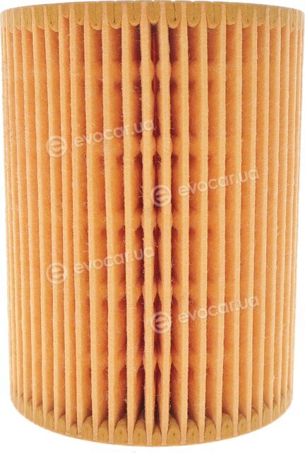 Solgy 101018