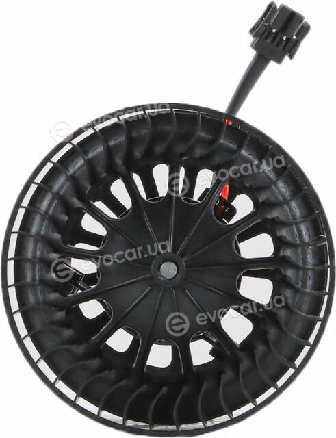 Walker / Fonos WBL01429