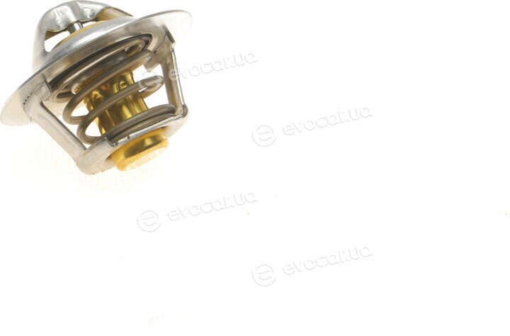 Mahle TX 100 89D