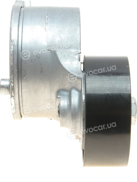 Continental 6PK1244K1