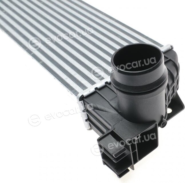 Mahle CI 386 000S