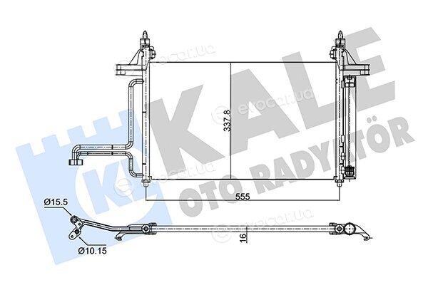 Kale 350575