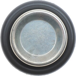 Delphi TS10281