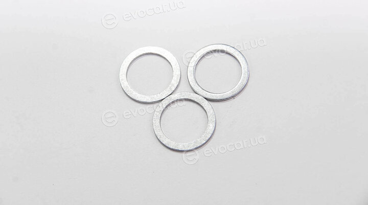 Elring 246.000