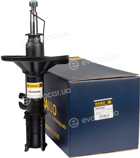 Raiso RS290666