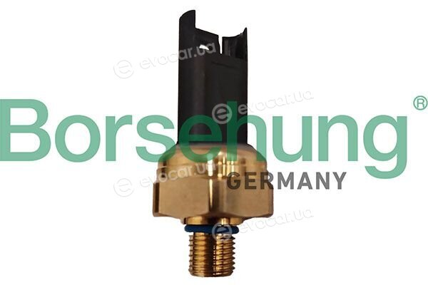 Borsehung B13503