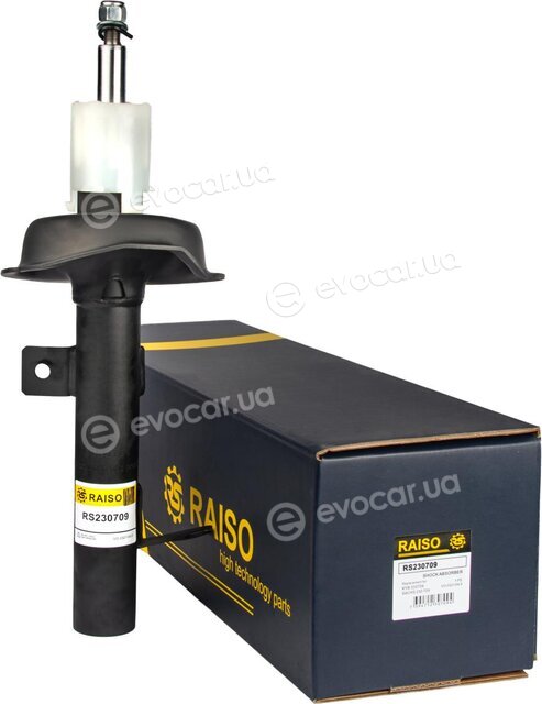 Raiso RS230709