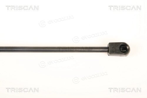 Triscan 8710 43232