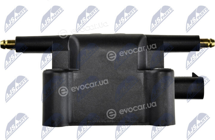 NTY ECZ-CH-008