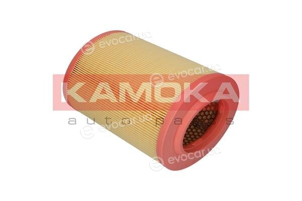 Kamoka F213901