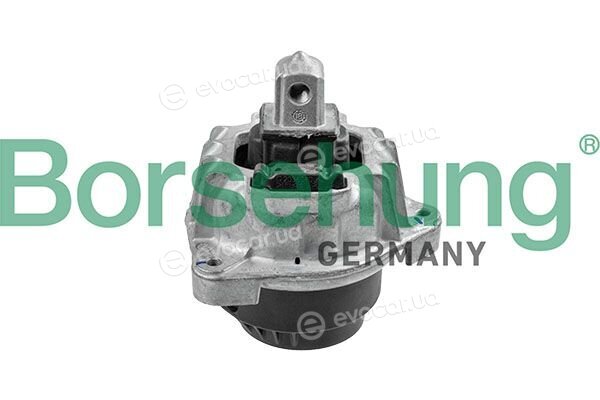 Borsehung B12911