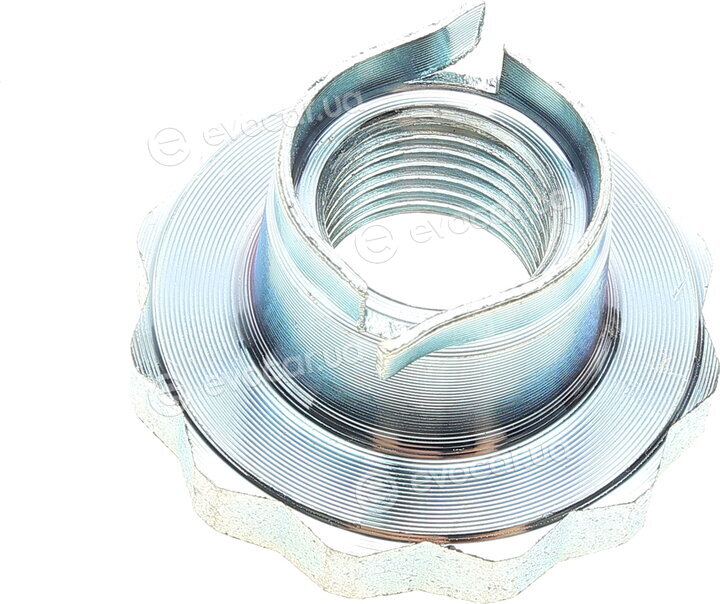 Solgy 216182
