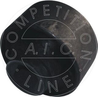 AIC 54740