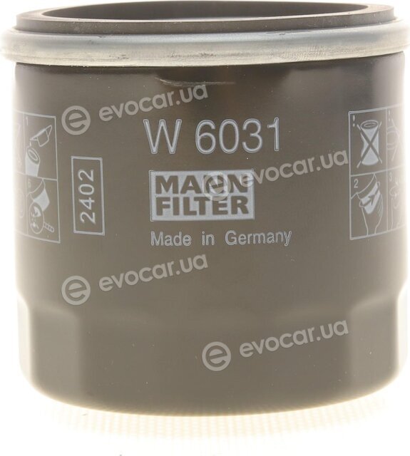 Mann W 6031