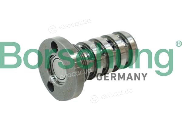 Borsehung B12123