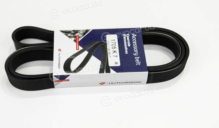 Hutchinson 1705 K 7