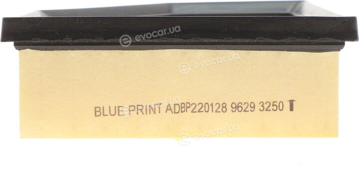 Blue Print ADBP220128