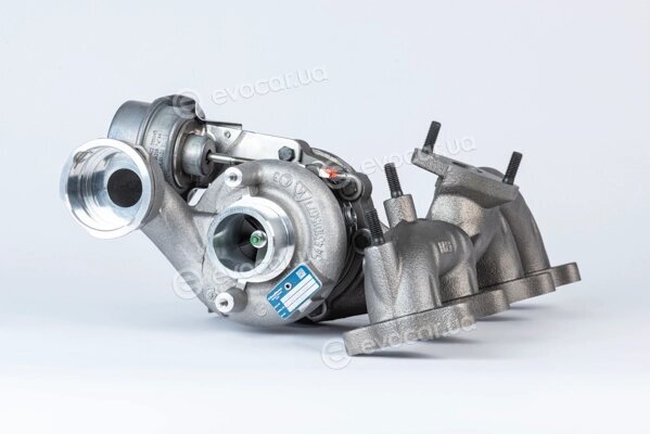 BorgWarner 54399900020