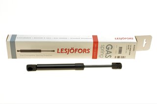 Lesjofors 8155441