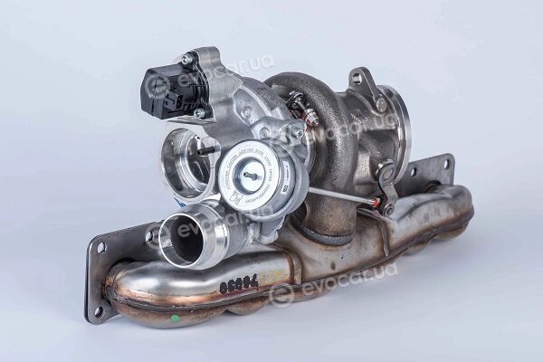 BorgWarner 18539880004