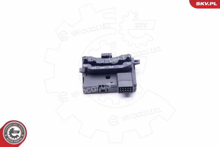 SKV 17SKV383